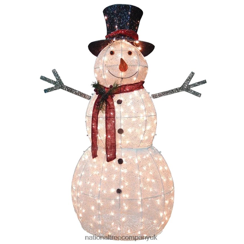 decoration | National Tree Company 60\ Snowman Decoration with Warm White LED Lights F2L4F602